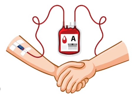 Blood transfusion risks